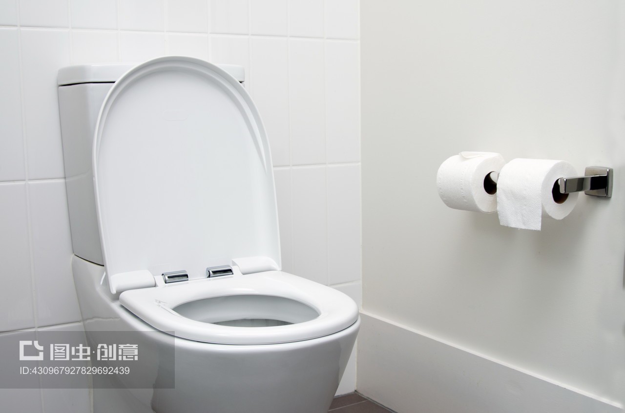 浴室的马桶Toilet Bowl In Bathroom