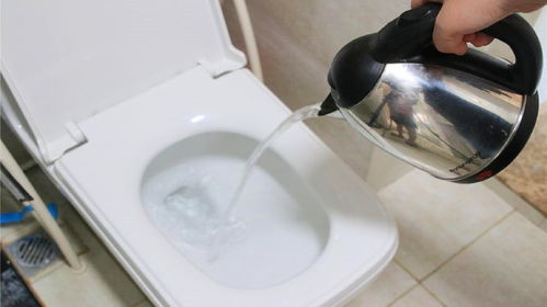 住宾馆时，为什么你要在马桶上倒一壶开水？这个生活小技巧一定转达家人！